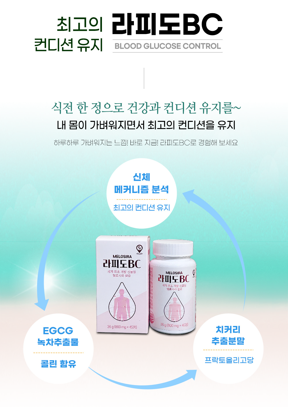 라피도BC 이미지